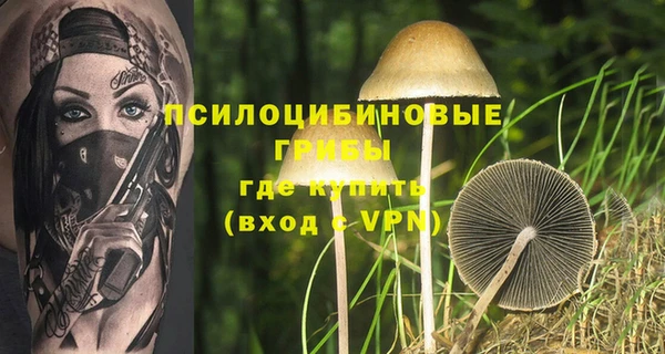 гидропоника Апатиты