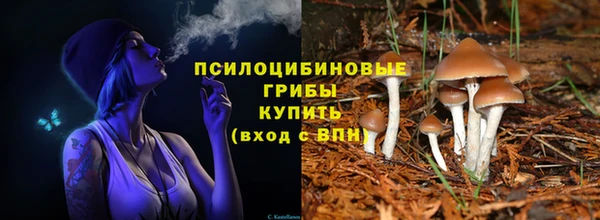 гидропоника Апатиты