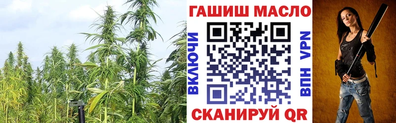 сайты даркнета состав  Каменногорск  ТГК гашишное масло 