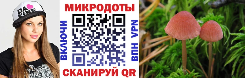 blacksprut   Каменногорск  Галлюциногенные грибы ЛСД 